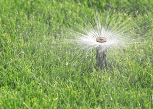 irrigation repairs north myrtle beach