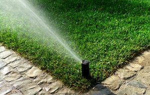 lawn care irrigation company briarcliffe acres sc