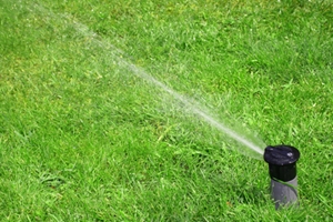 lawn care irrigation company north myrtle beach sc