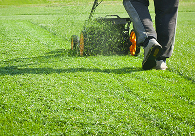 lawn care mistakes