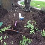 irrigation installation north myrtle beach sc