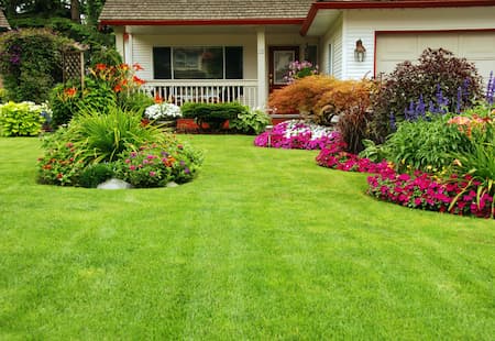 Importance of Custom Lawn Care Programs in North Myrtle Beach