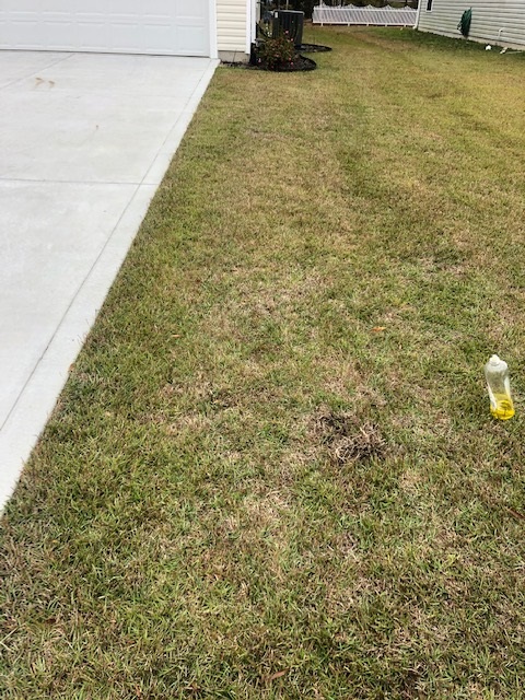 Mole cricket treatment for lawn