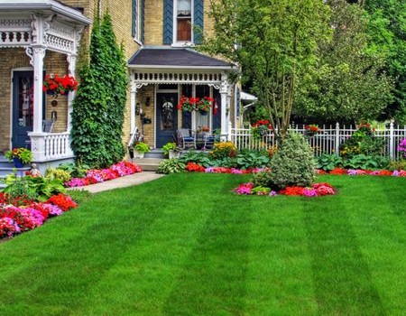 Why Experience Matters in Lawn Fertilization