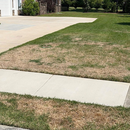 Why Your Lawn Looks Thin, Brown, or Unhealthy