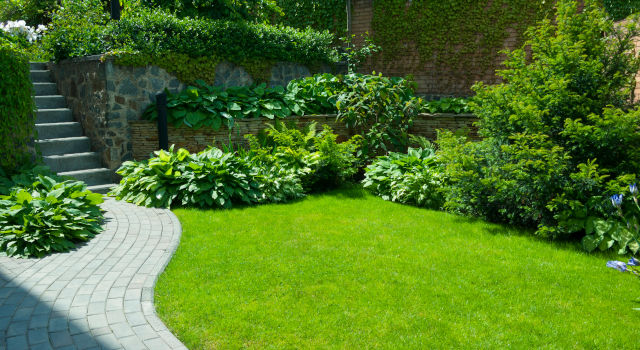 Customized lawn care programs