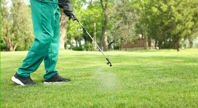 Insect Control Programs