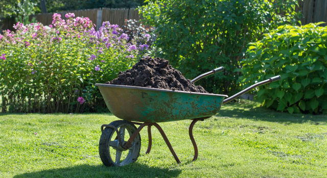 Lawn Fertilization