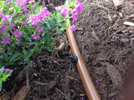 Plant Irrigation System Installation in North Myrtle Beach, SC Thumbnail