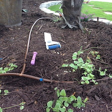 Plant Irrigation System Install North Myrtle Beach, SC 1