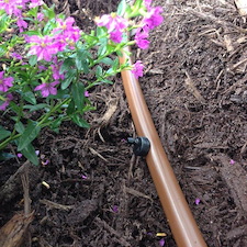 Plant Irrigation System Install North Myrtle Beach, SC 2
