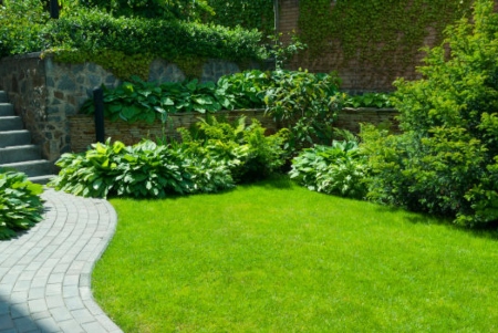 Customized Lawn Care Programs