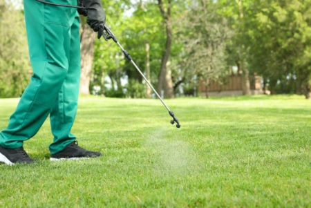 Insect Control Programs