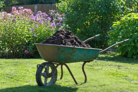 Lawn Fertilization